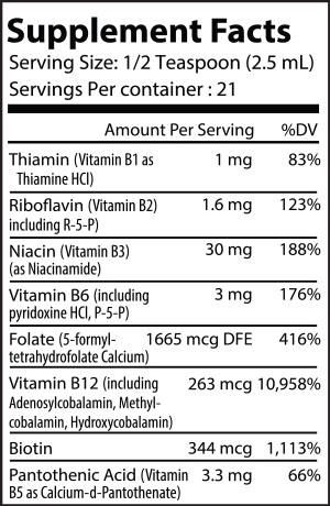 Fermented Vitamin B Complex 2 fl oz – Daily Energy for Body & Mind