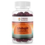 Shilajit Gummies – Elevate Mind, Body, Soul, Stamina & Inner Power