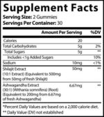 Shilajit Gummies – Elevate Mind, Body, Soul, Stamina & Inner Power