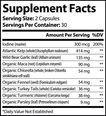 Thyroid Support Plus – Iodine-Rich Formula for Daily Wellness
